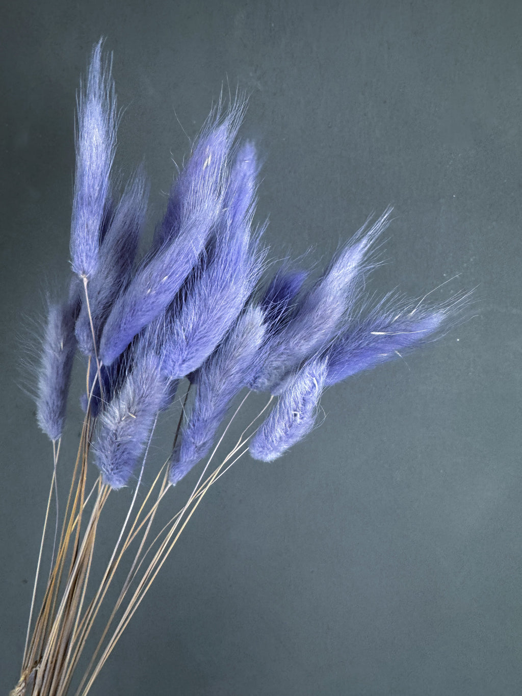 Bunny tails - purple