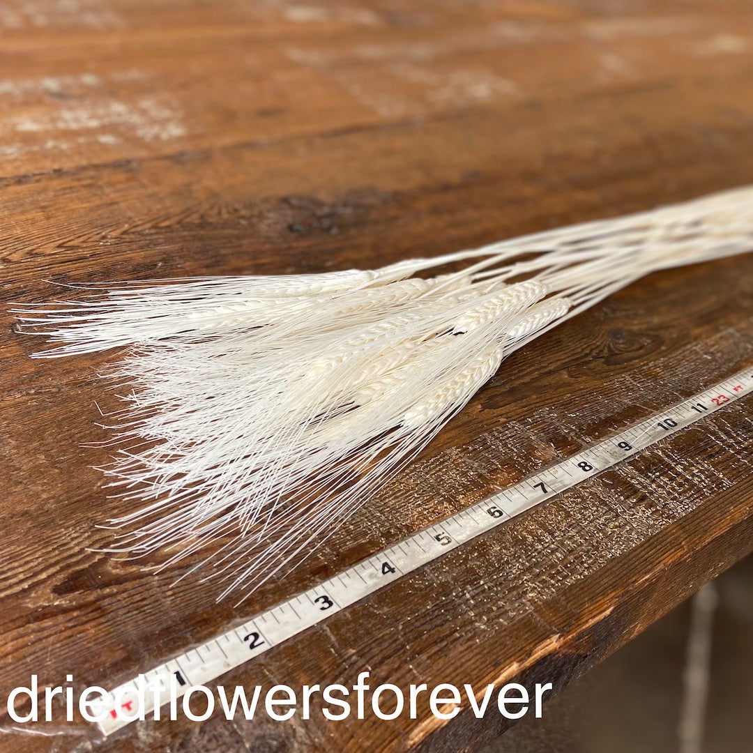 Wheat - White