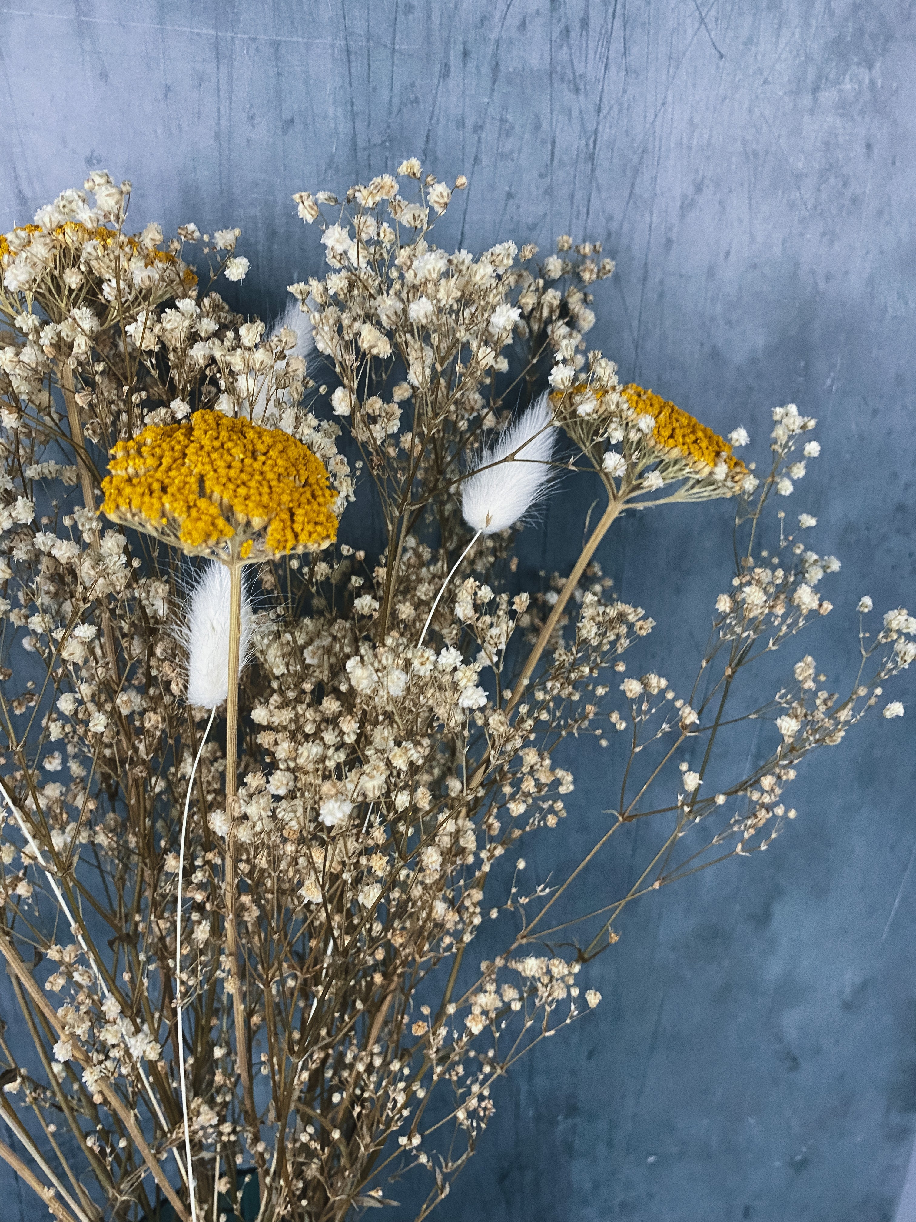 Harri Letterbox Dried Flowers