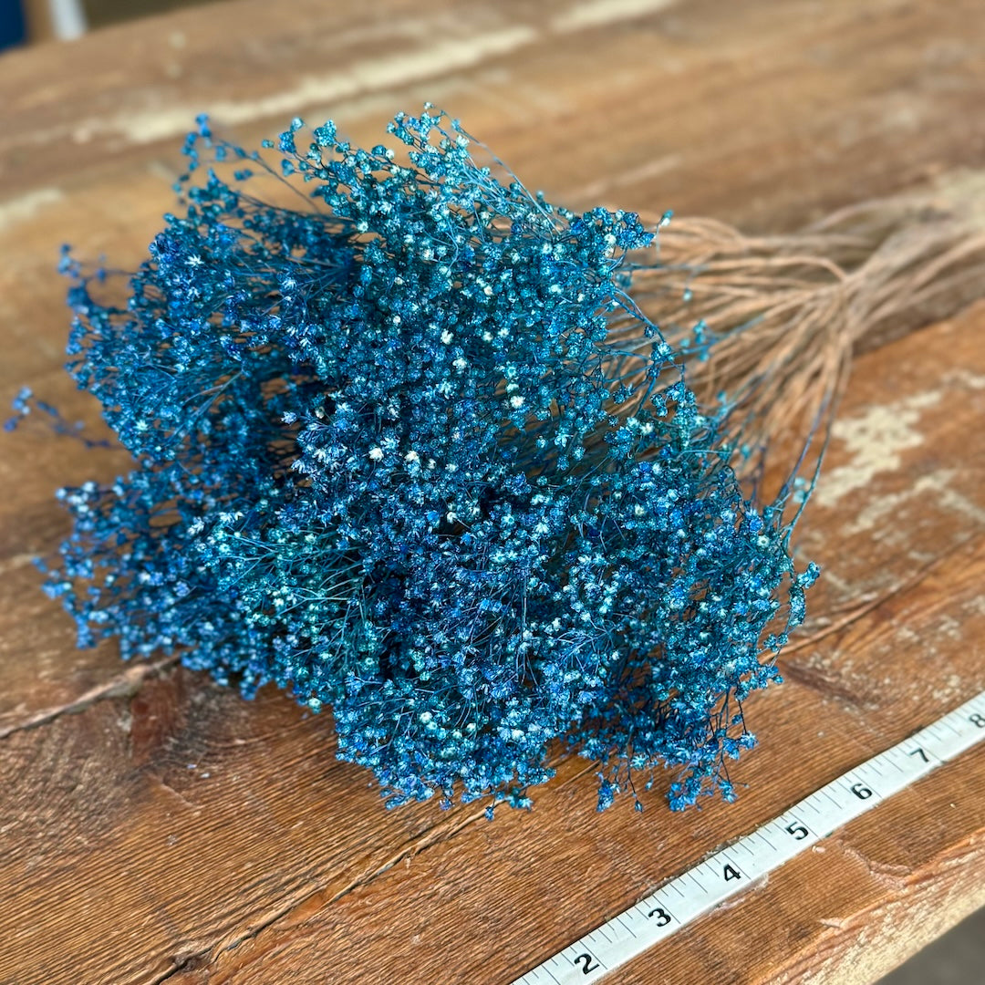Broom Bloom - Bright Blue