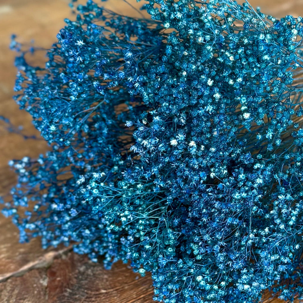 Broom Bloom - Bright Blue