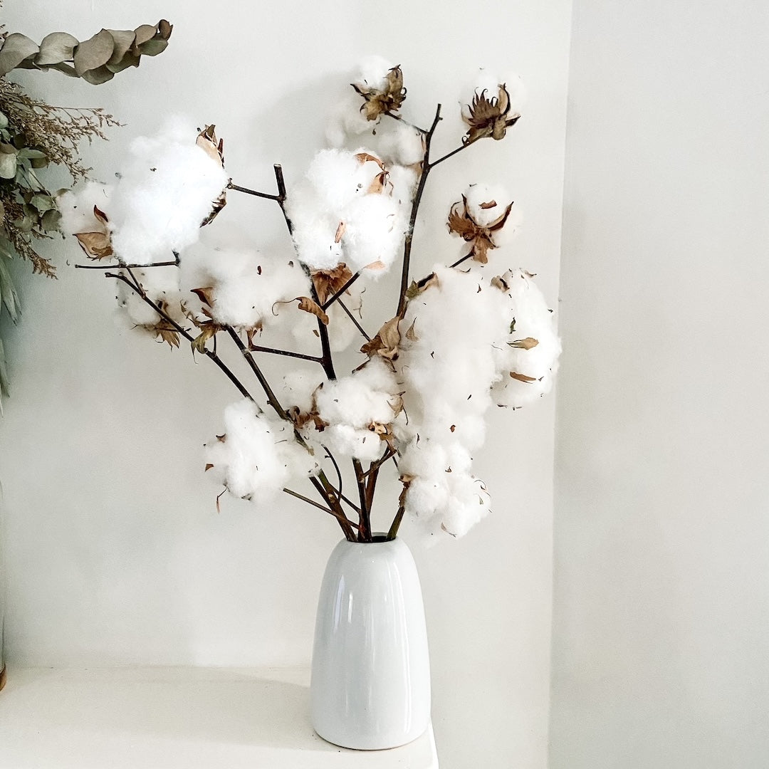 Cotton Branches