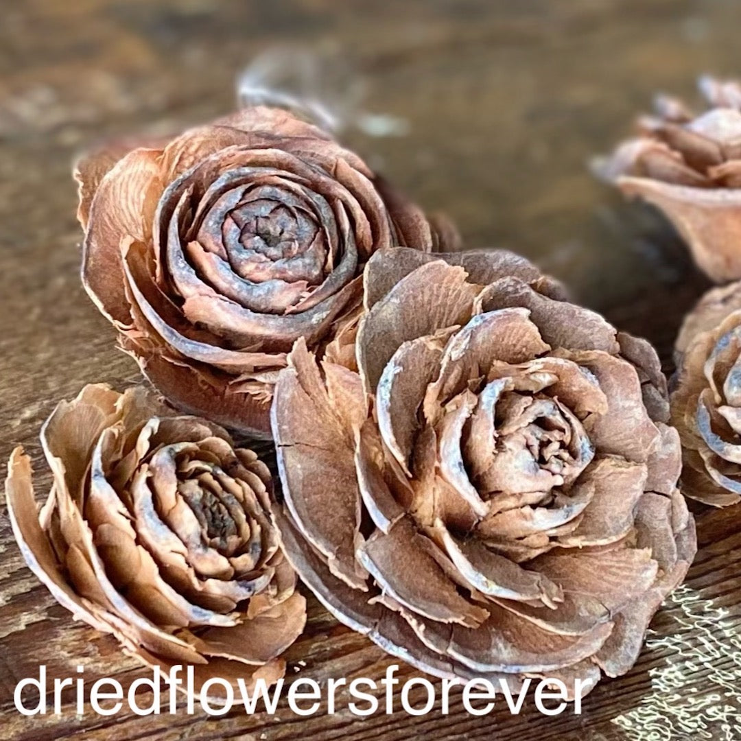 Cedar Roses - 5 Heads