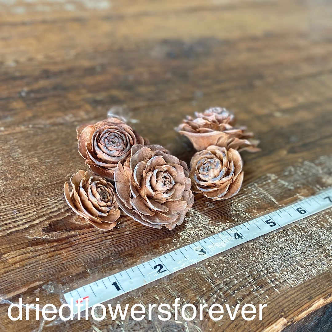 Cedar Roses - 5 Heads